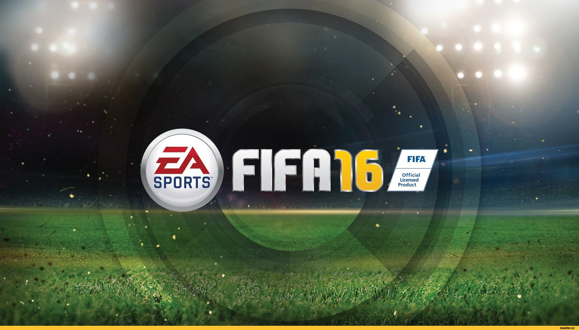 1435734676 ukraina fifa fendomy pesochnica 2098853
