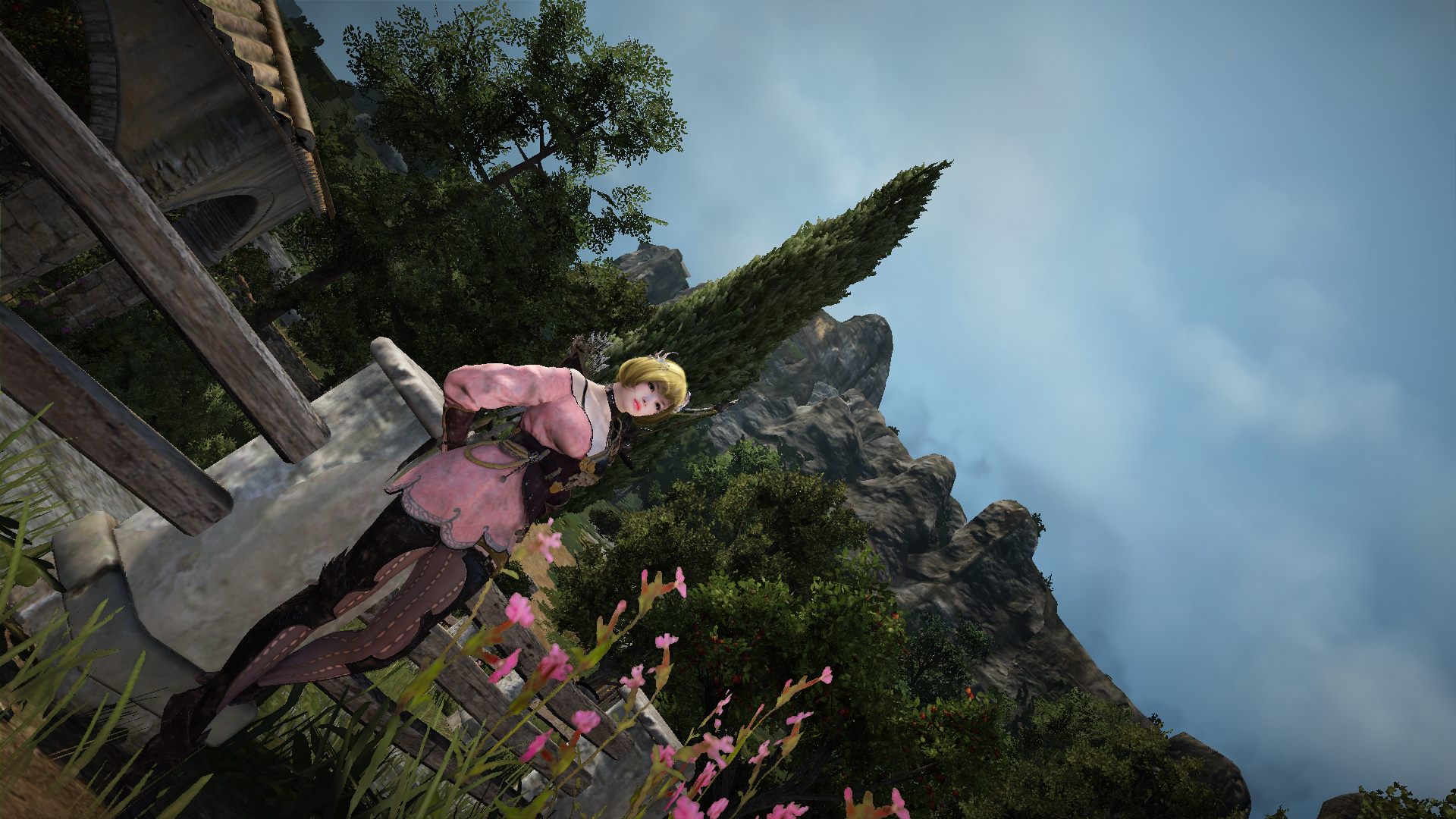 Black Desert Online 1