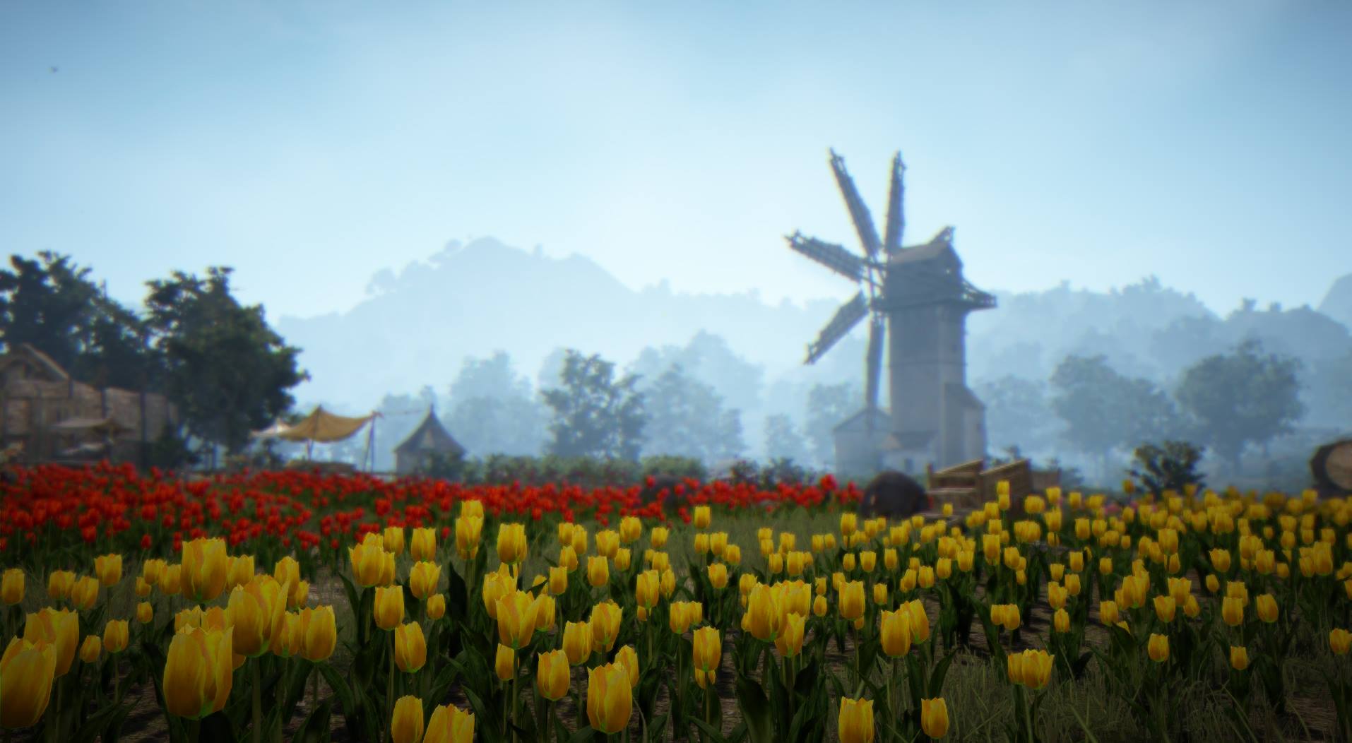 Black Desert Online 5