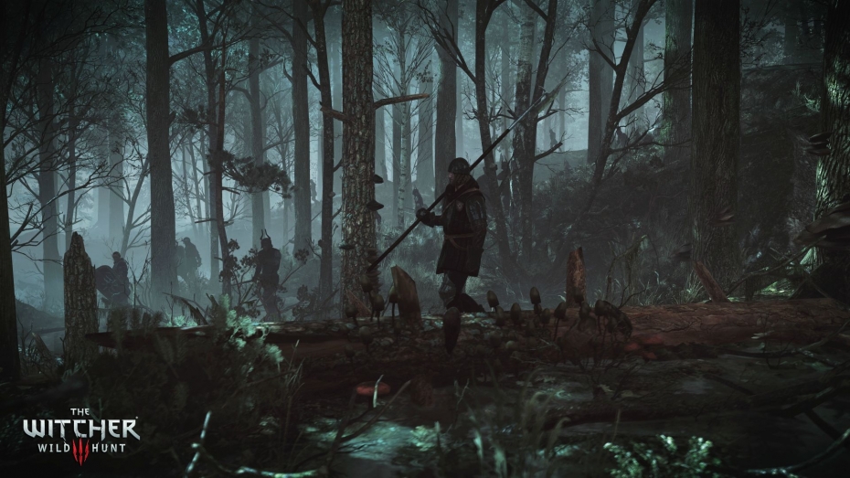 witcher-wild-hunt-003