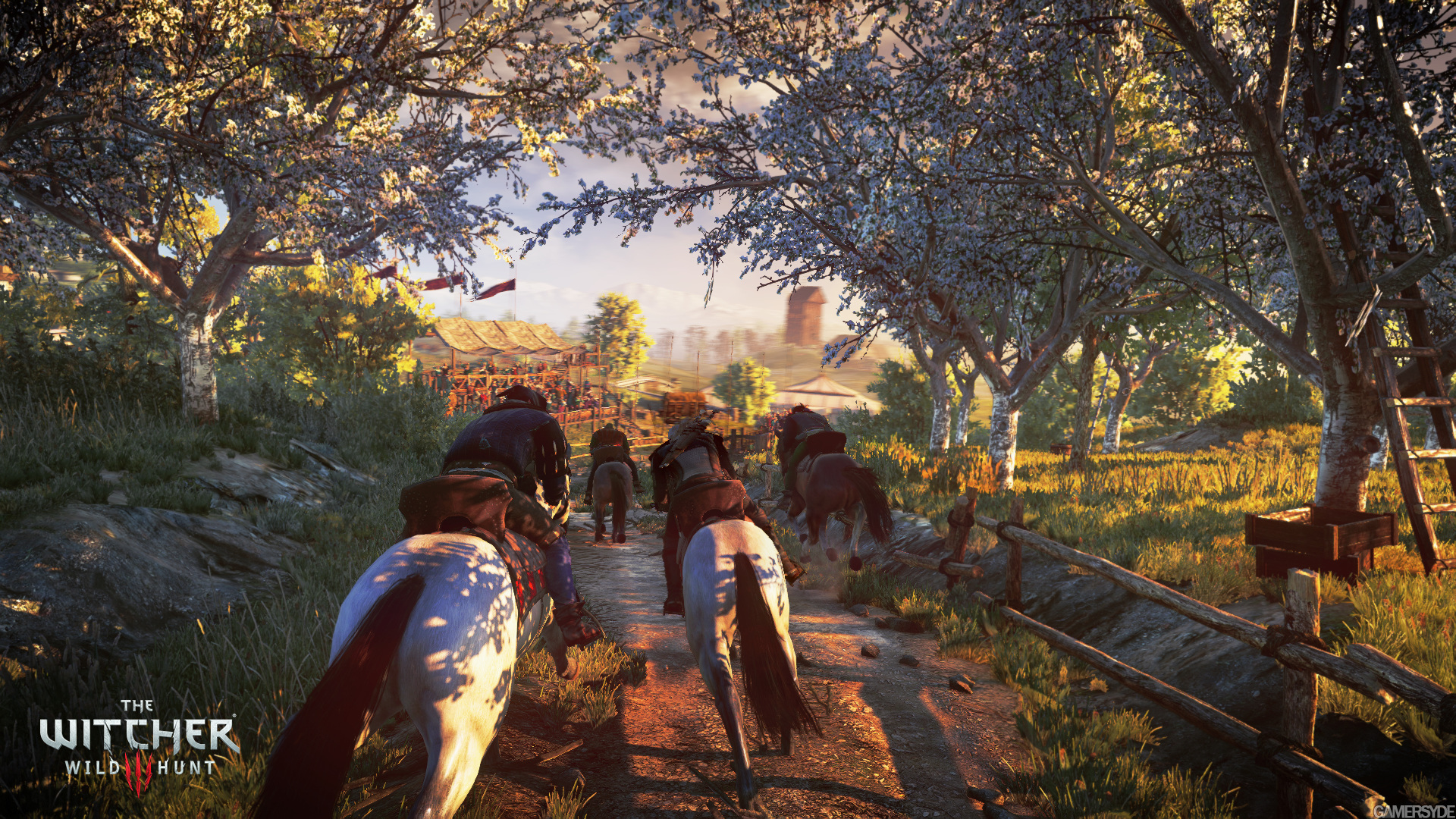 Witcher-3-010