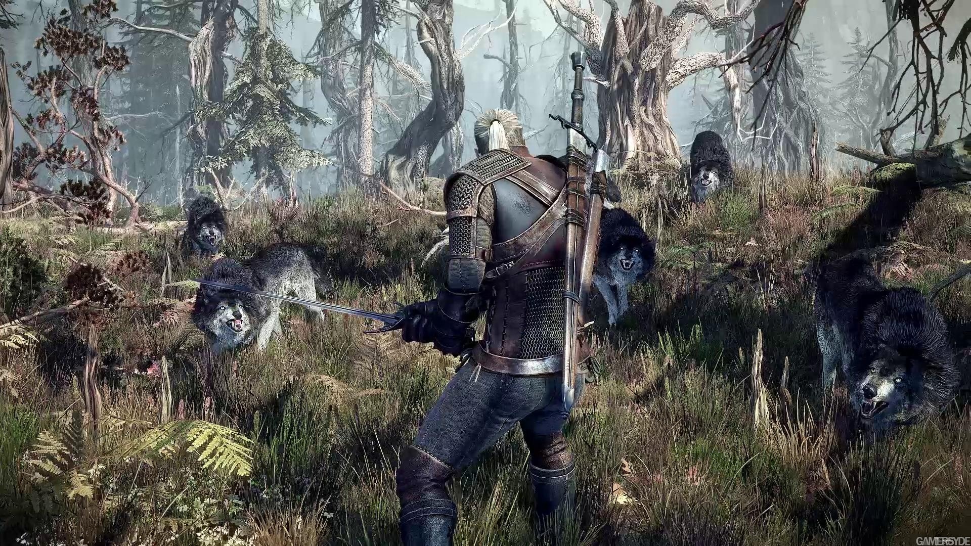 Witcher-3-024