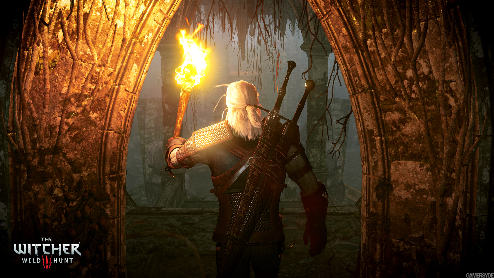 The Witcher 3 Wild Hunt 1