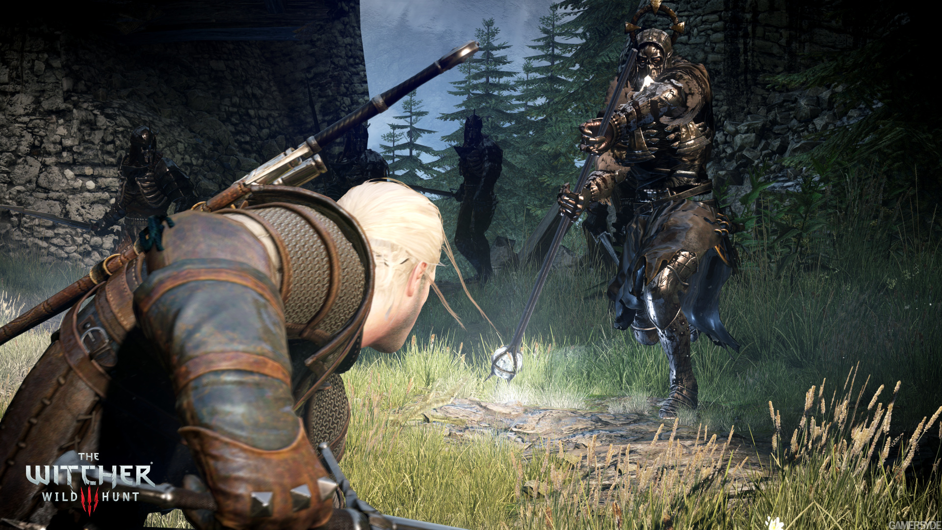 The Witcher 3 Wild Hunt 3