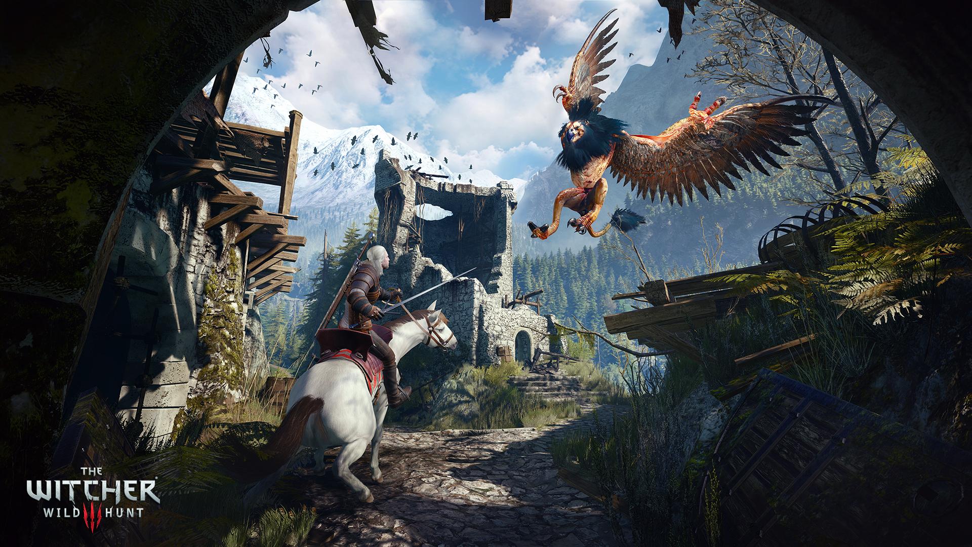 The Witcher 3 Wild Hunt 2