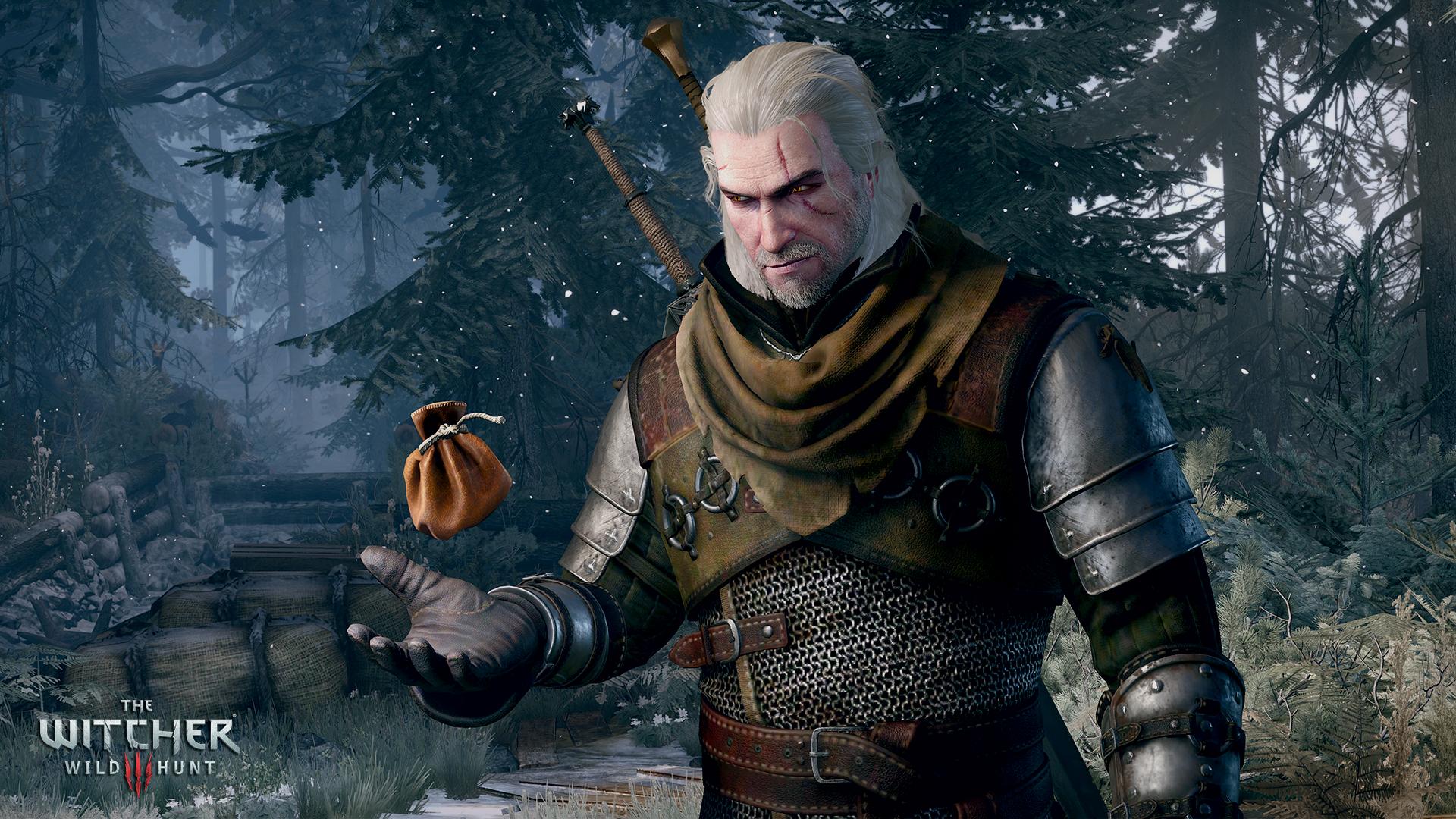 The Witcher 3 Wild Hunt 5
