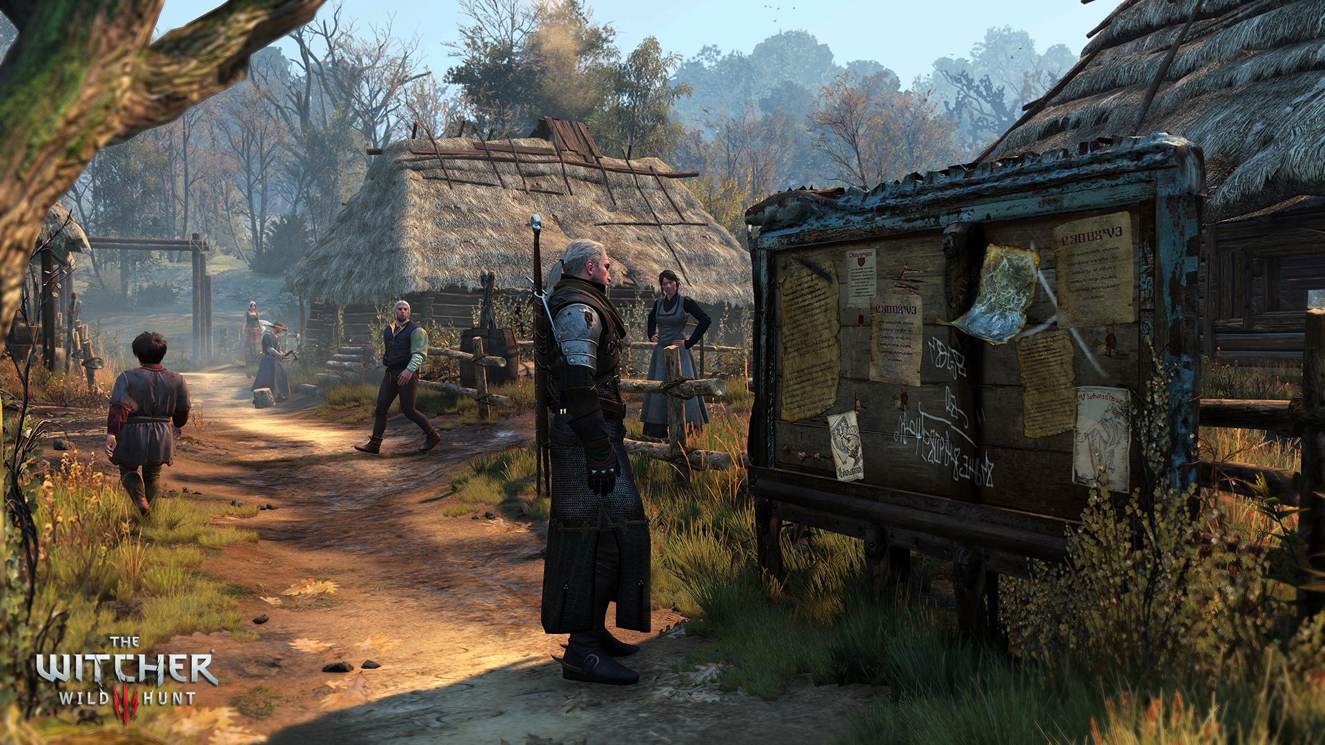 The Witcher 3 Wild Hunt 6