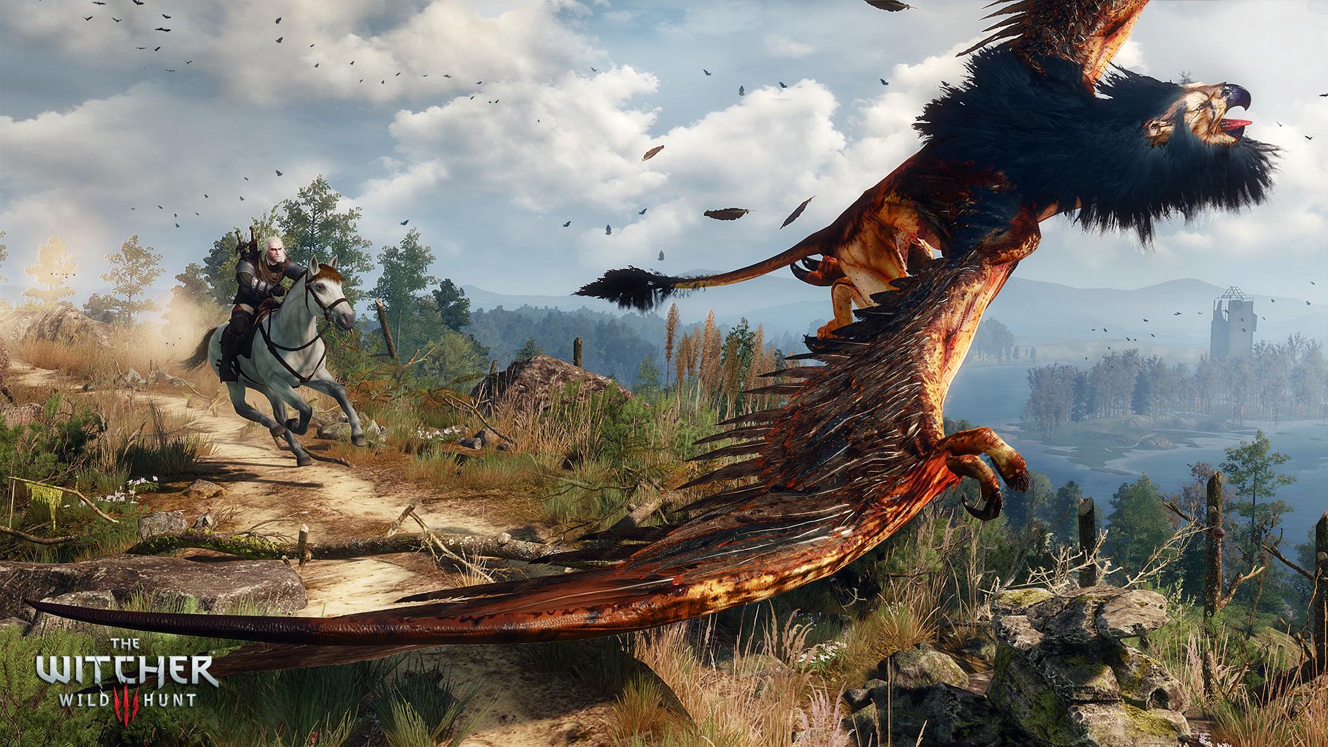 The Witcher 3 Wild Hunt 7
