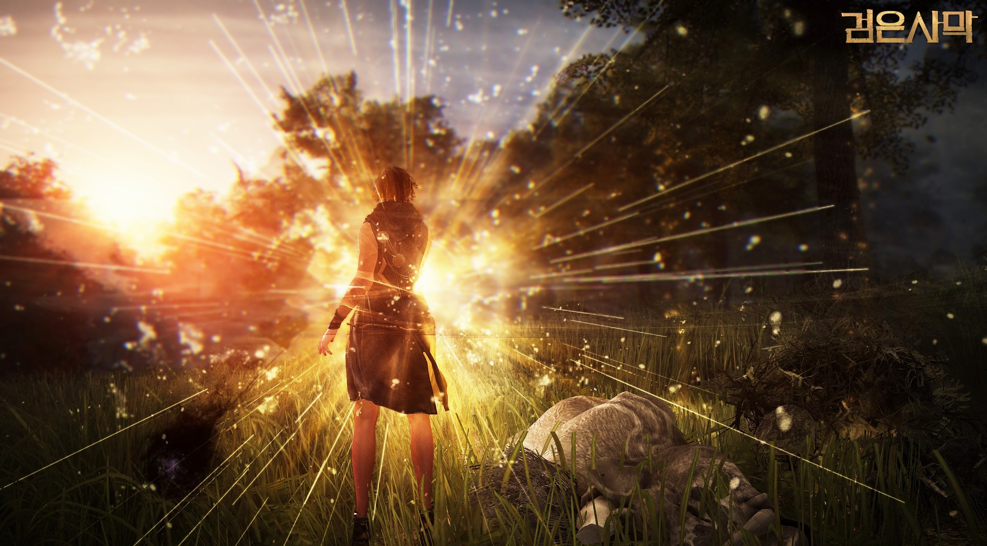 Black Desert 10