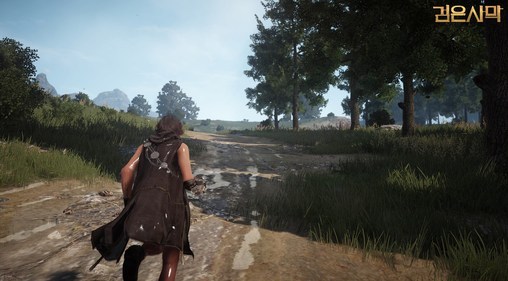 Black Desert 3