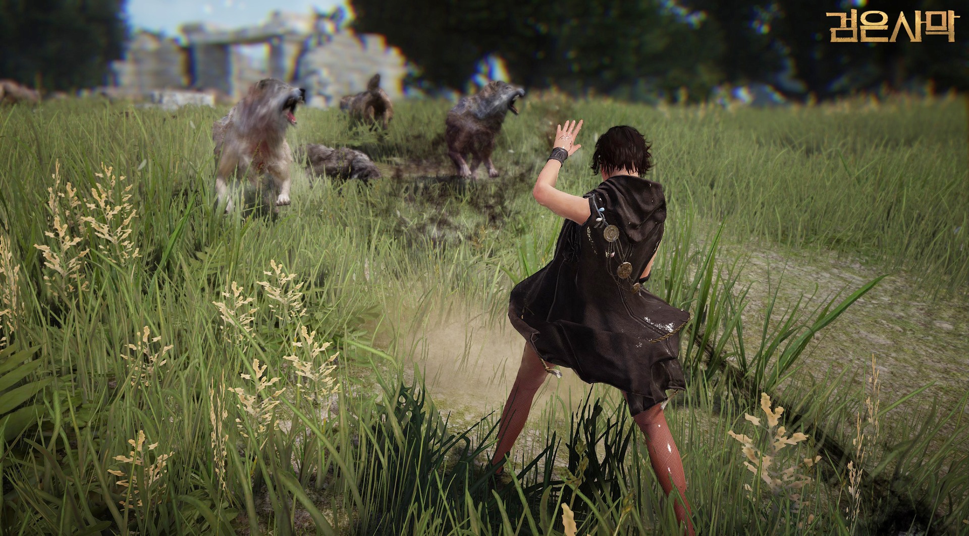 Black Desert 8