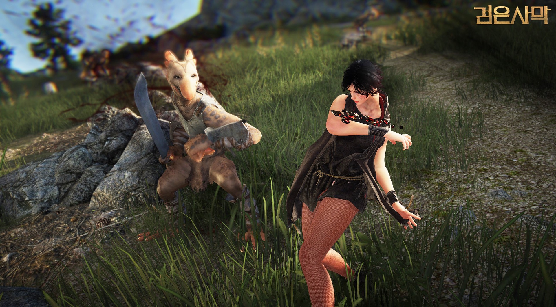 Black Desert 9