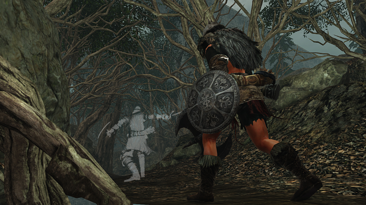 ds2 5