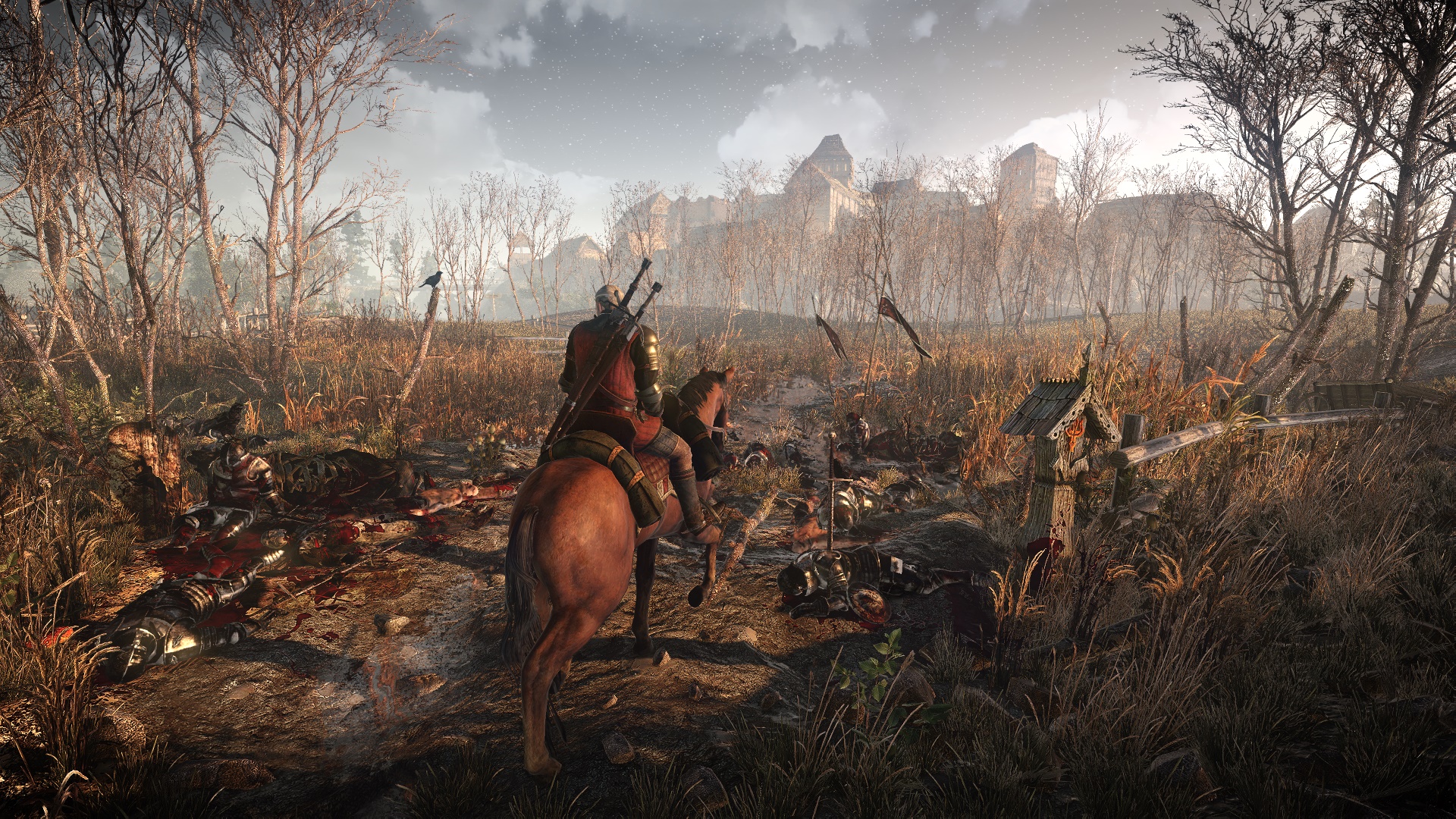 The Witcher 3 (1)