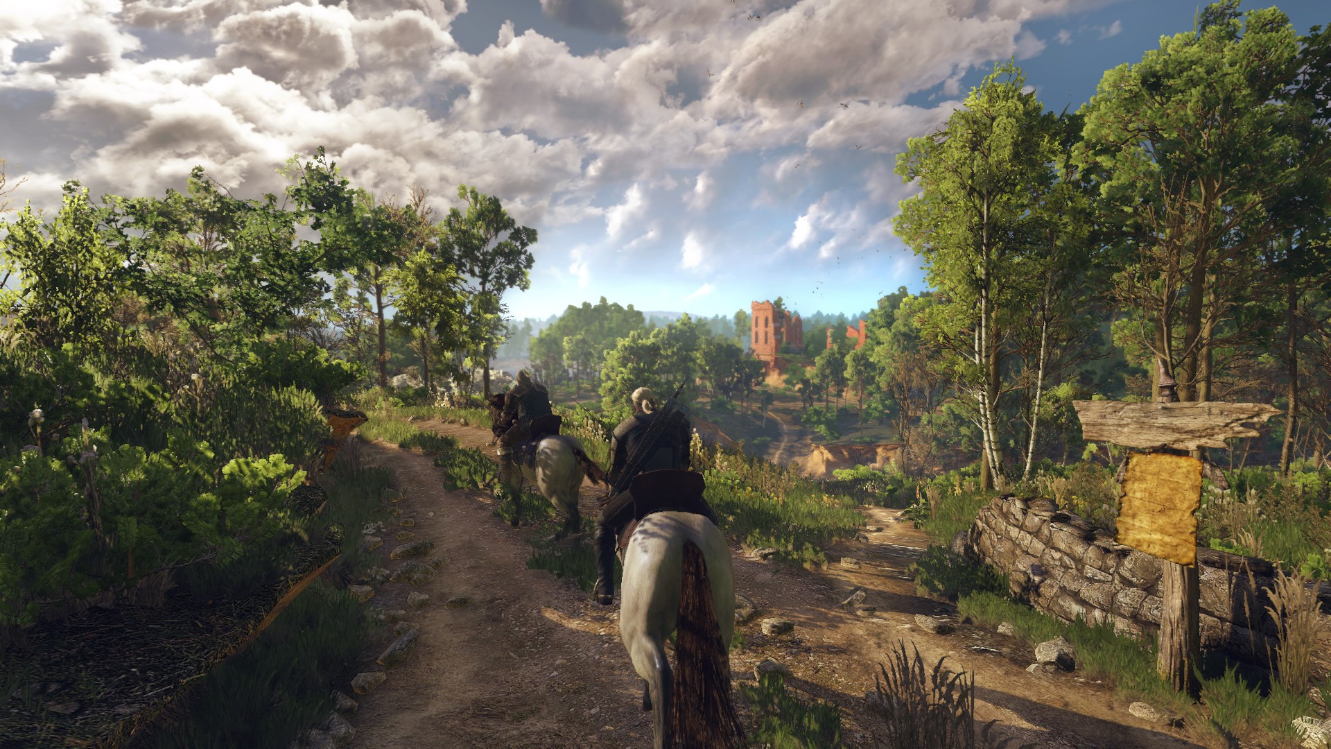  The Witcher 3 Wild Hunt 5