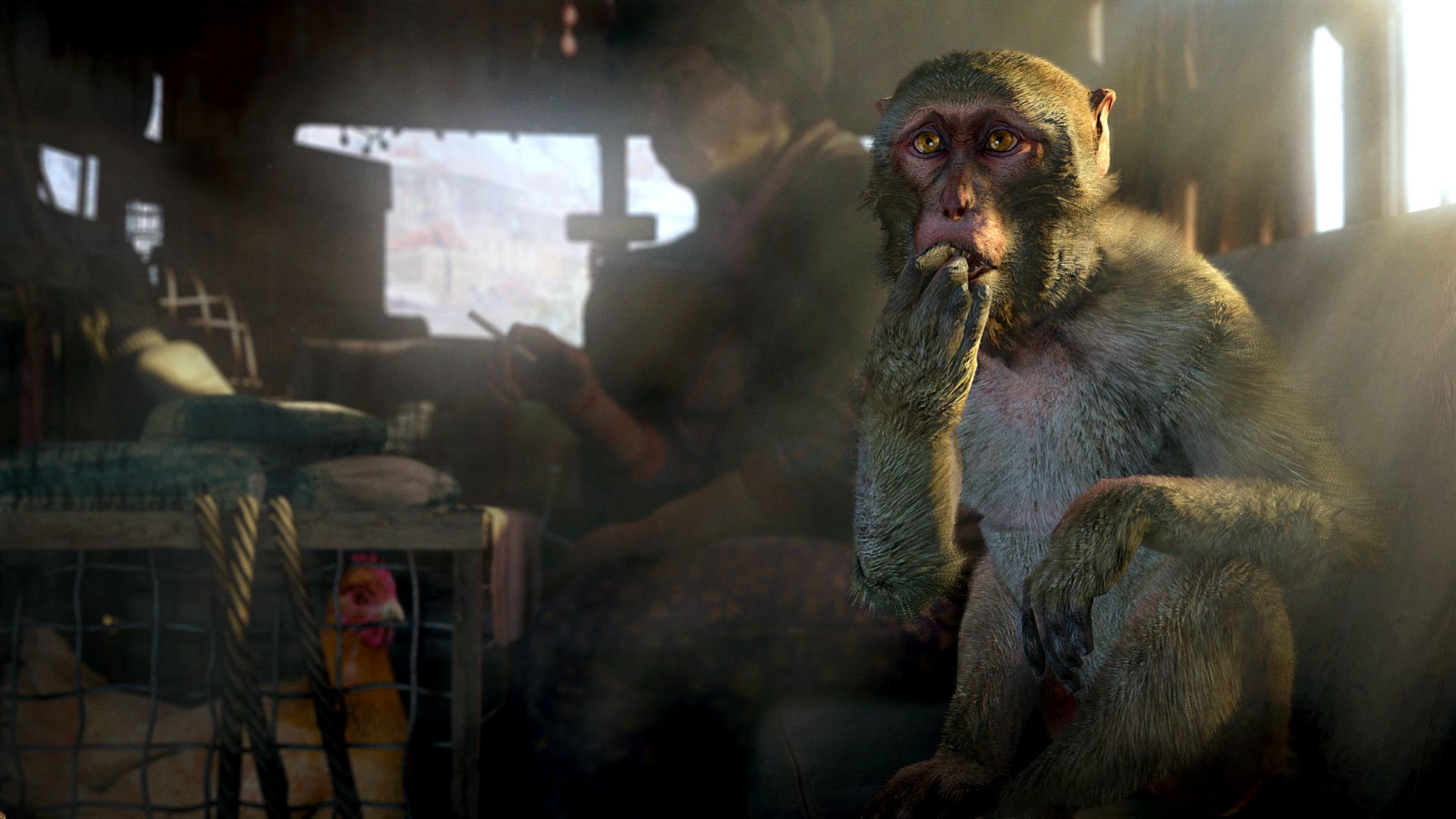 Far Cry 4 5