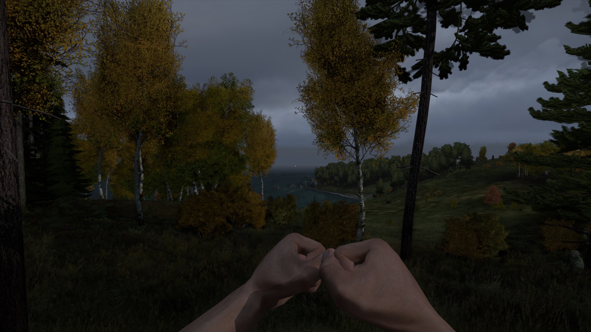 DayZ 2014-03-09 14-42-01-03
