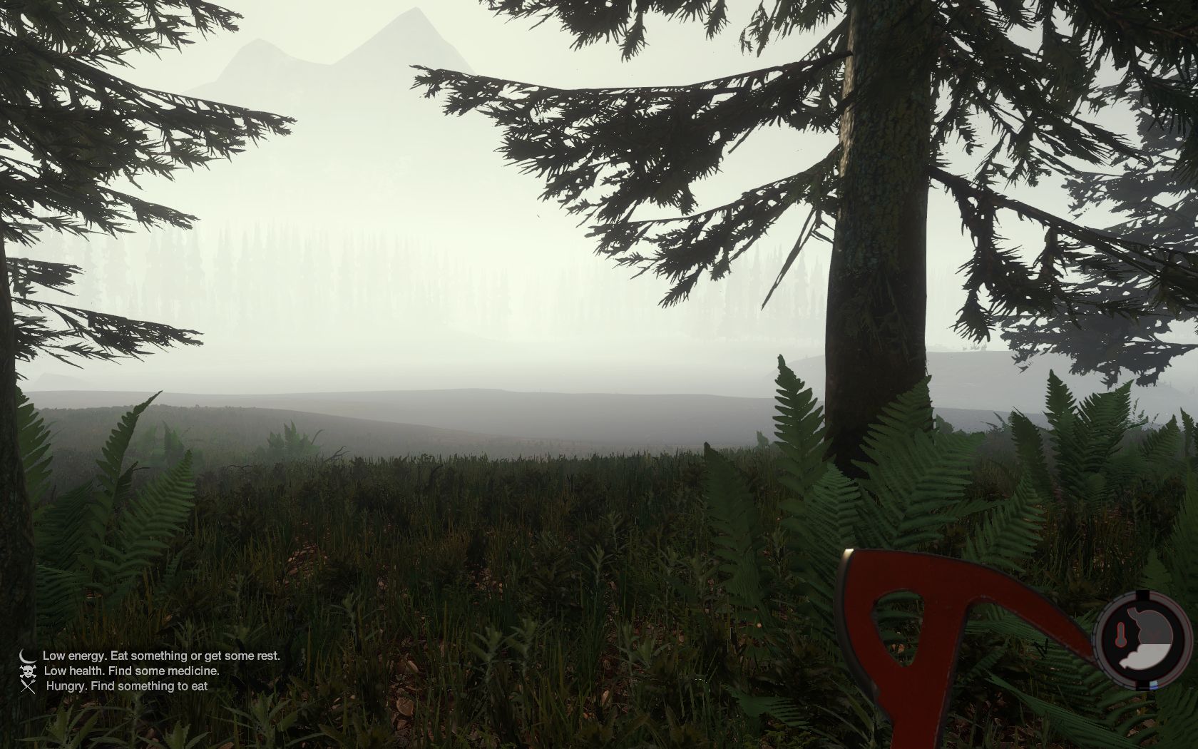 TheForest 2014 06 01 11 13 18 606