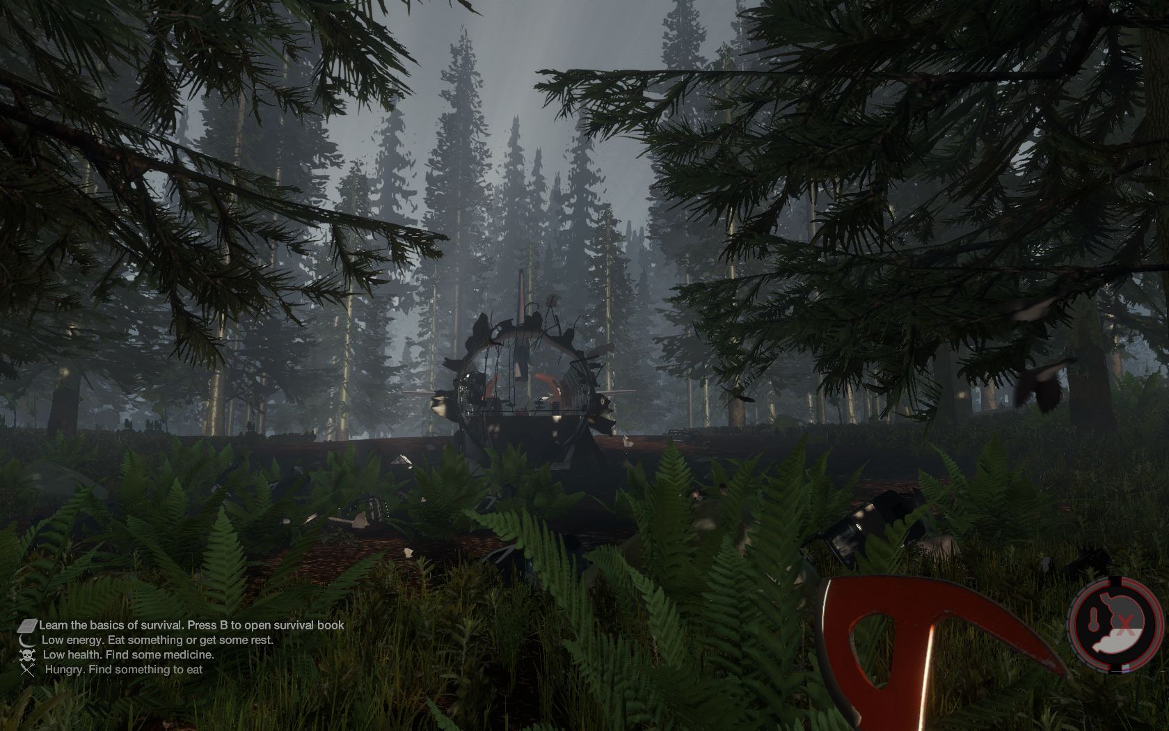 TheForest 2014 06 01 11 13 23 154