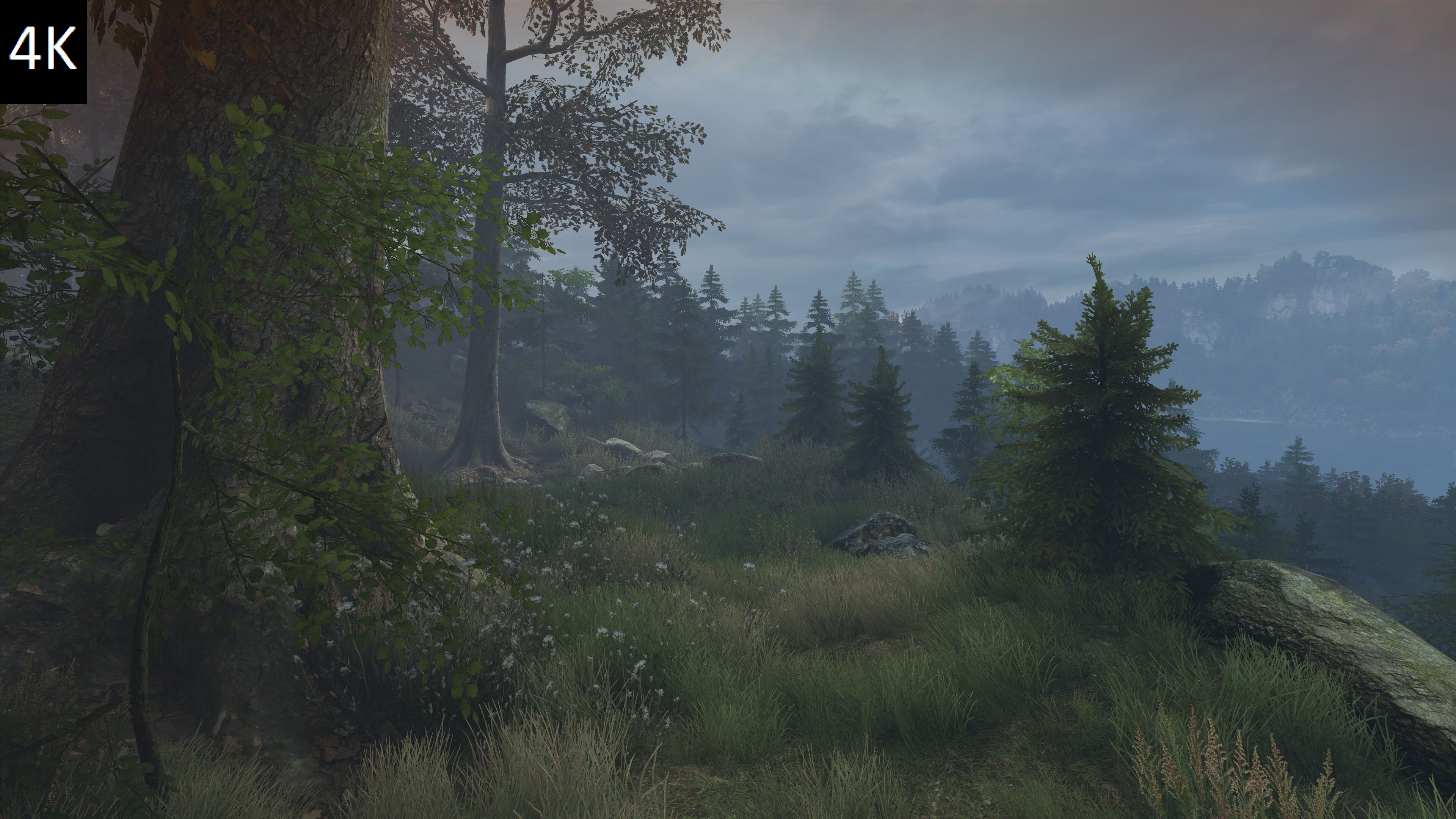 4k 1