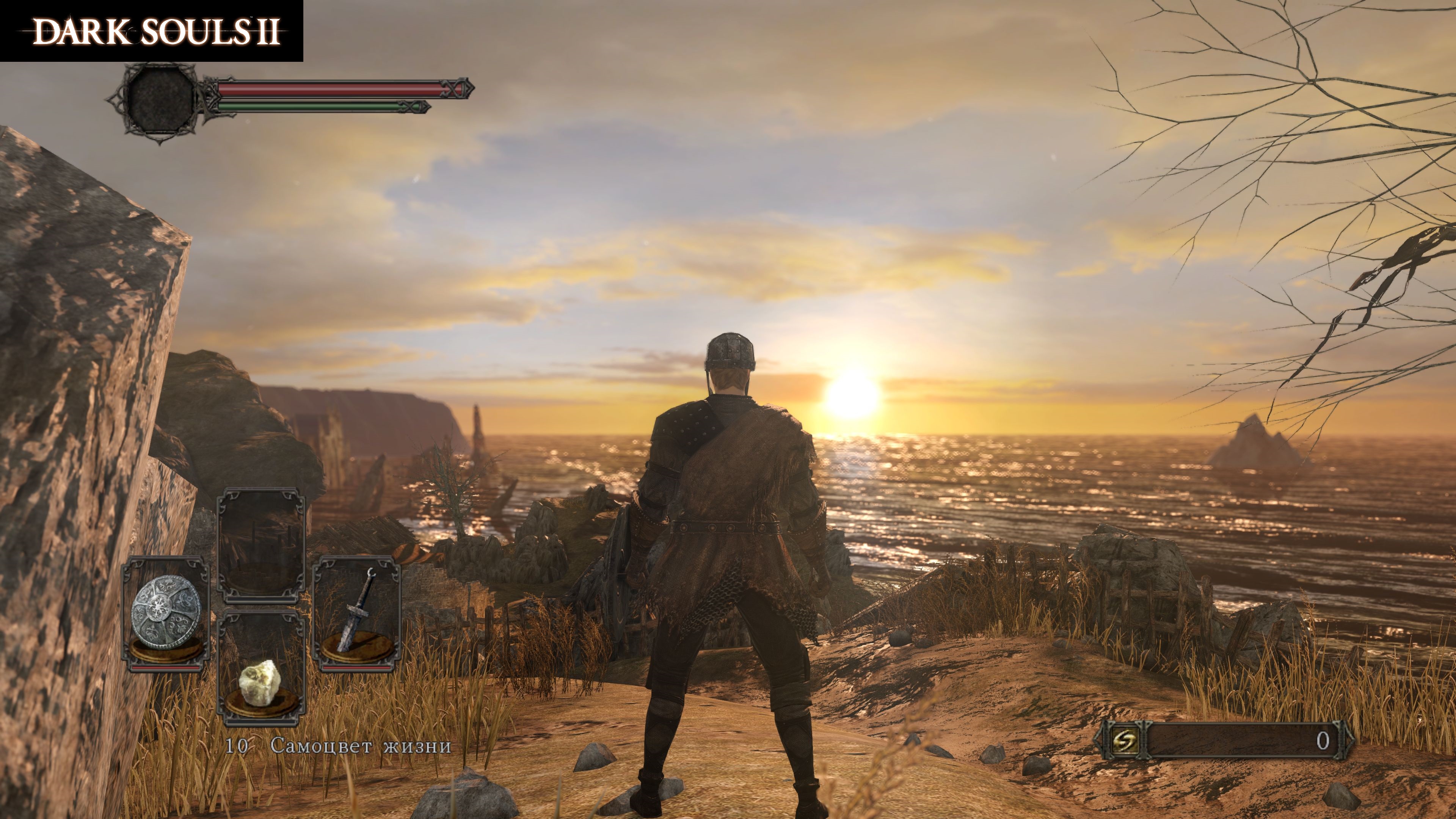 DARK SOULS II 5