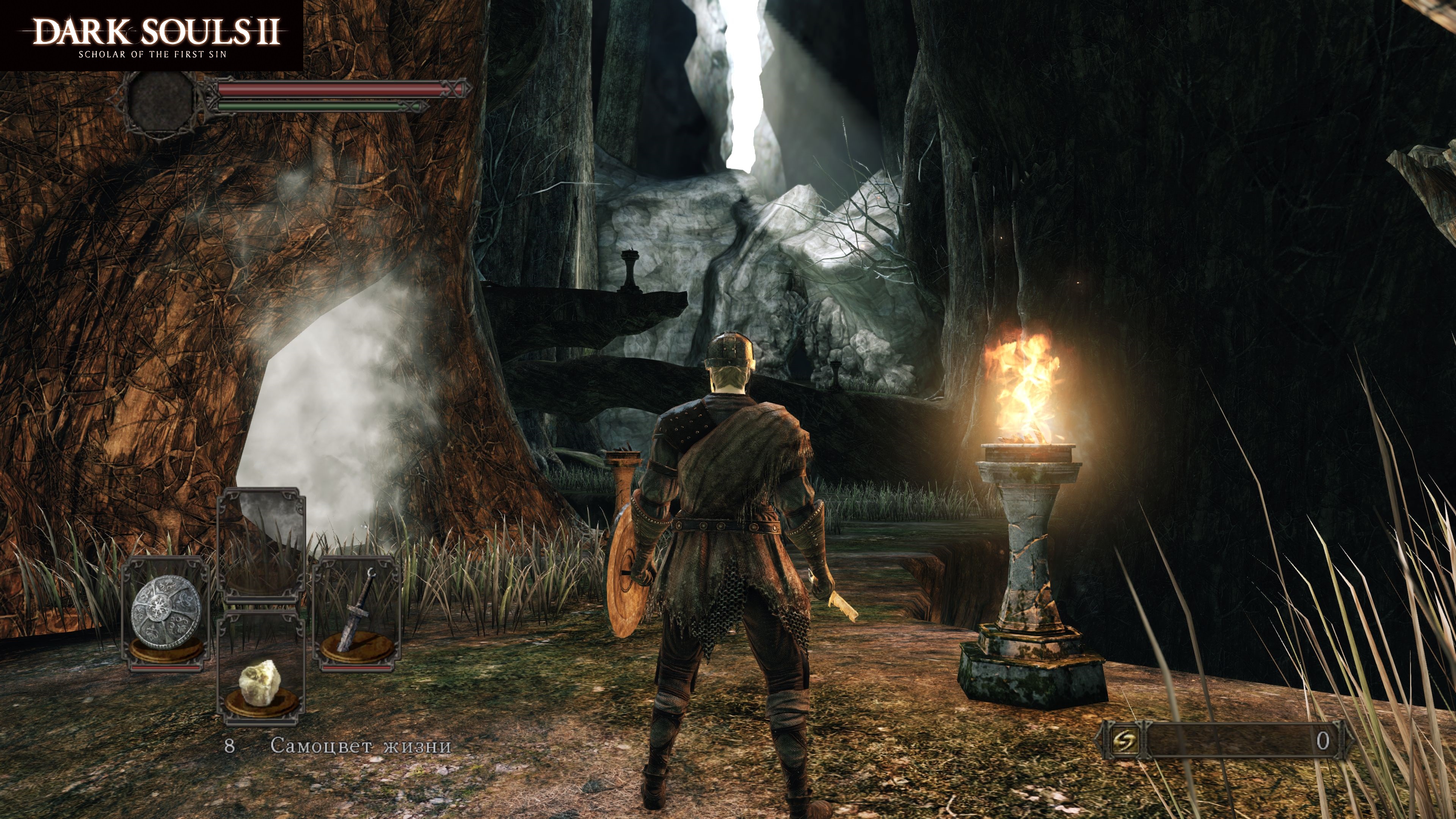 DARK SOULS II Scholar of the First Sin 4
