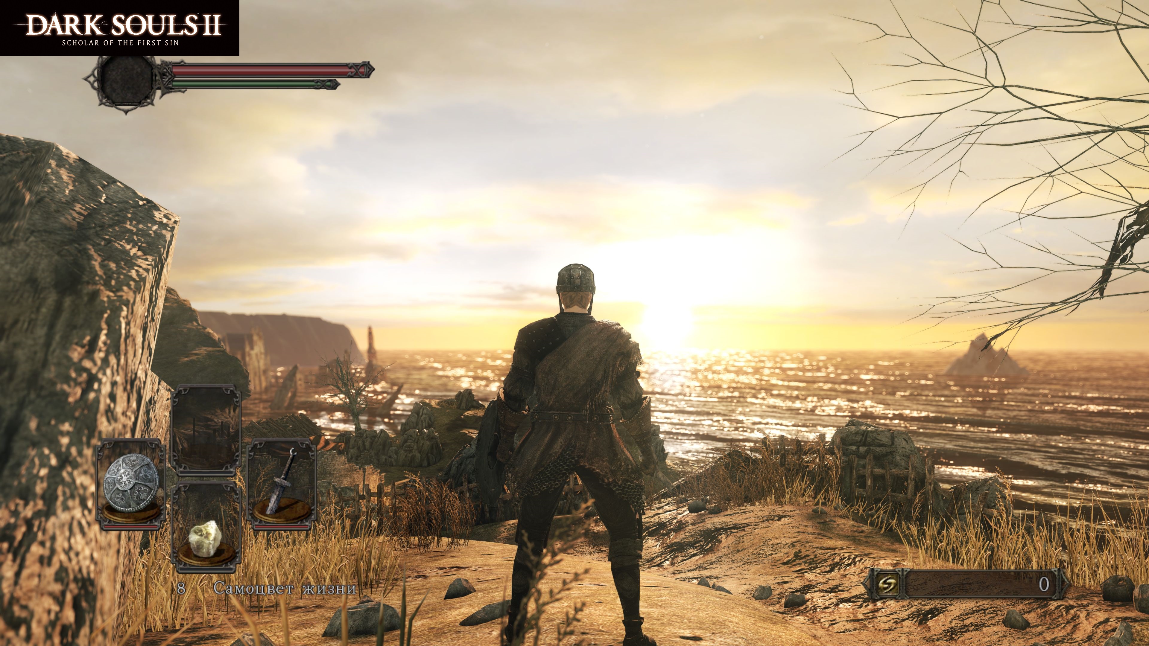 DARK SOULS II Scholar of the First Sin 5