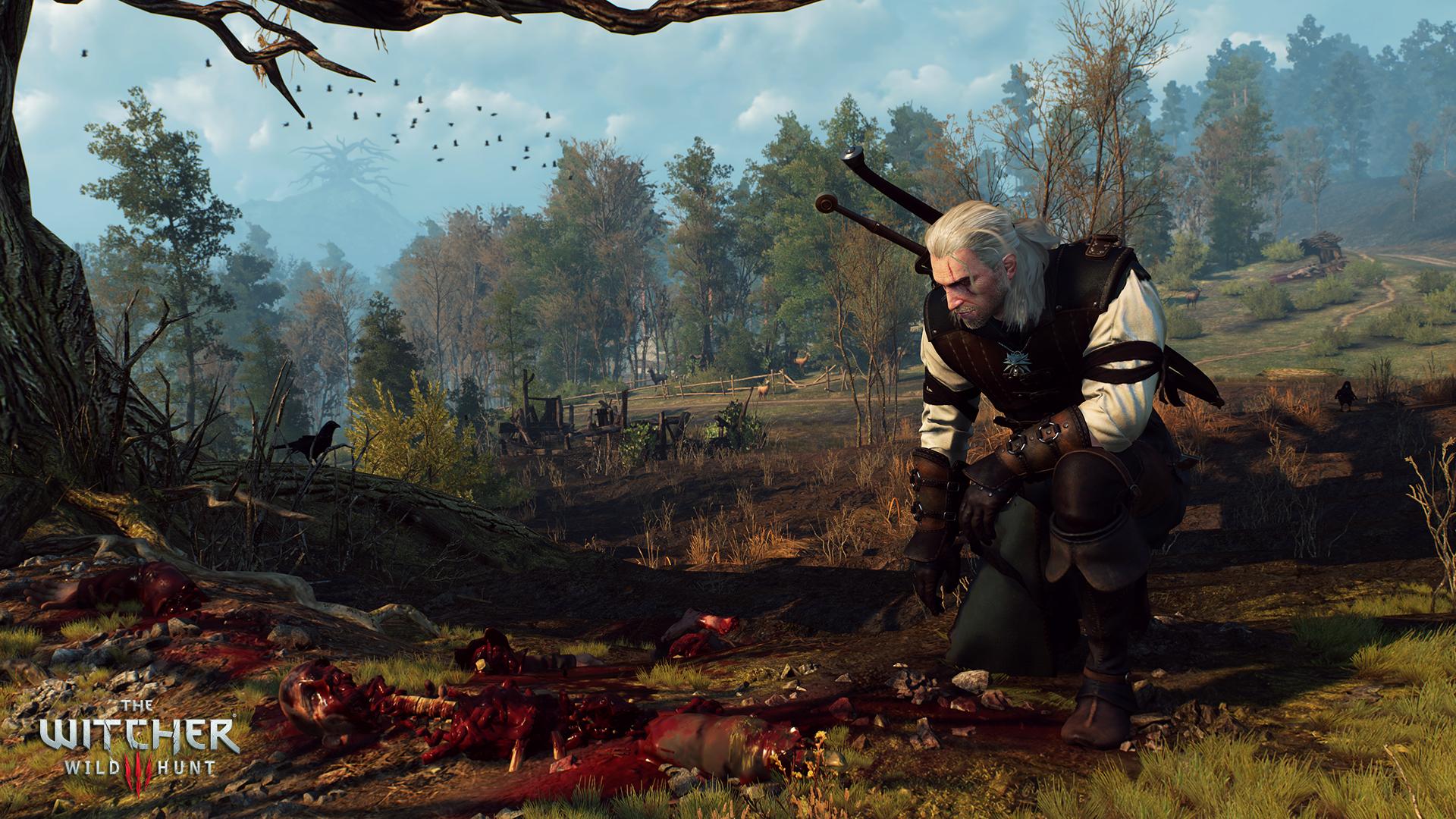 witcher 1