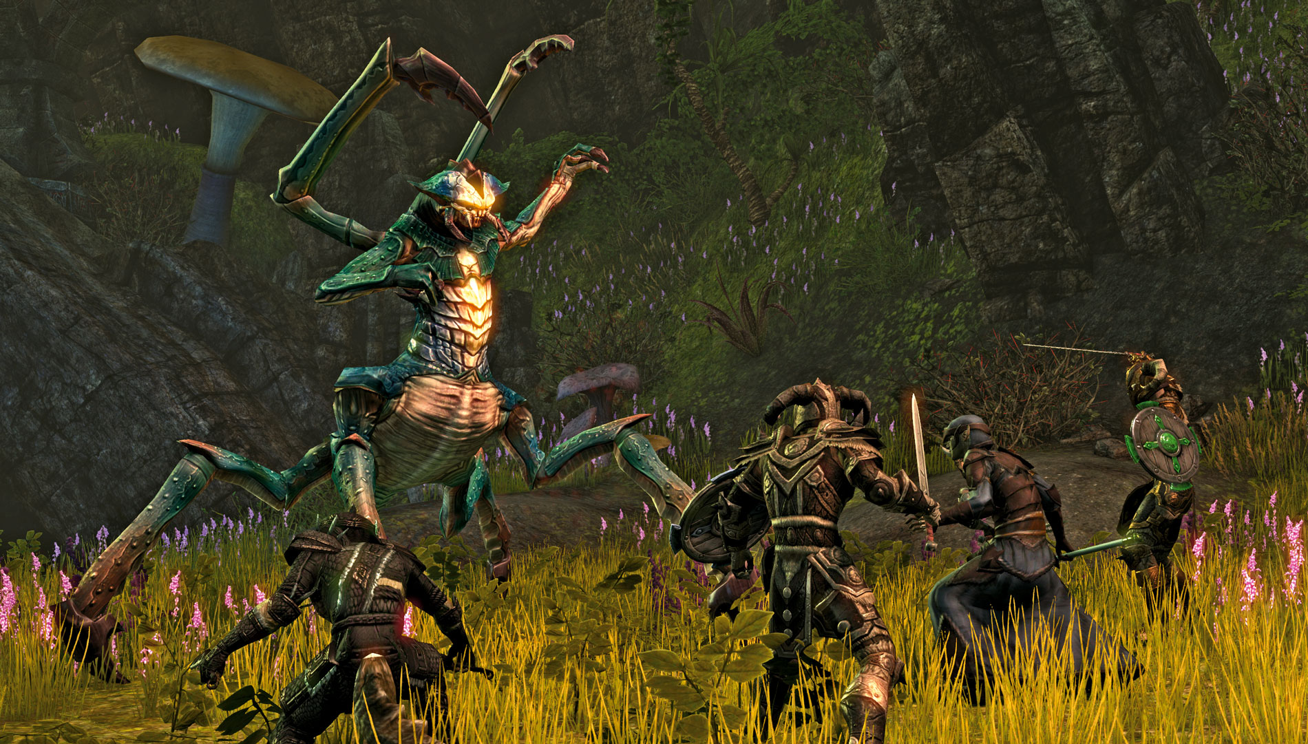 The Elder Scrolls Online 4