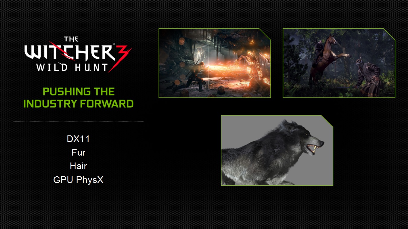 The Witcher 3 Wild Hunt NVIDIA